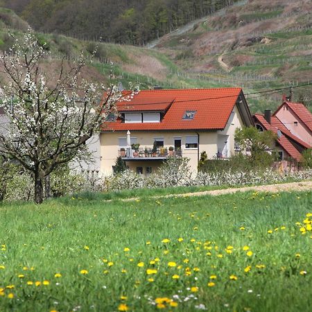 Ferienwohnung Graf Vogtsburg Eksteriør bilde